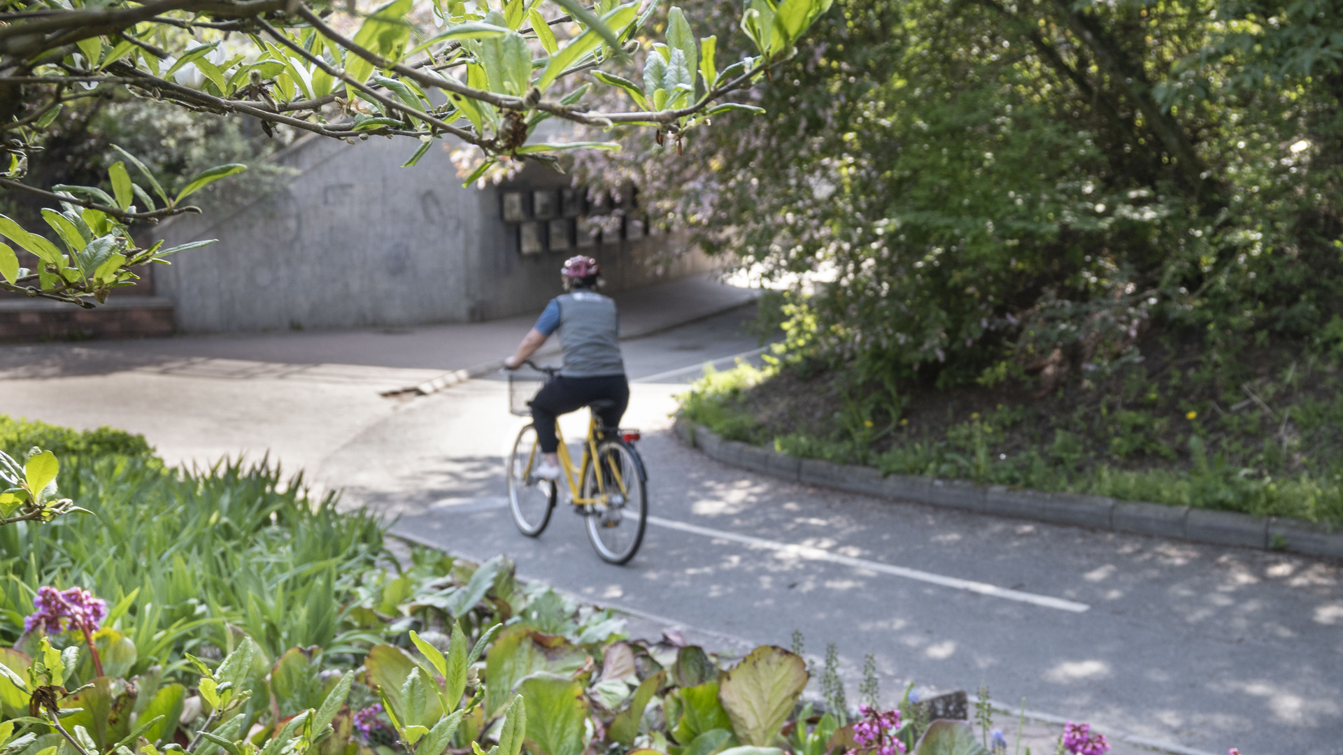 Kvinna cyklar på cykelväg i park