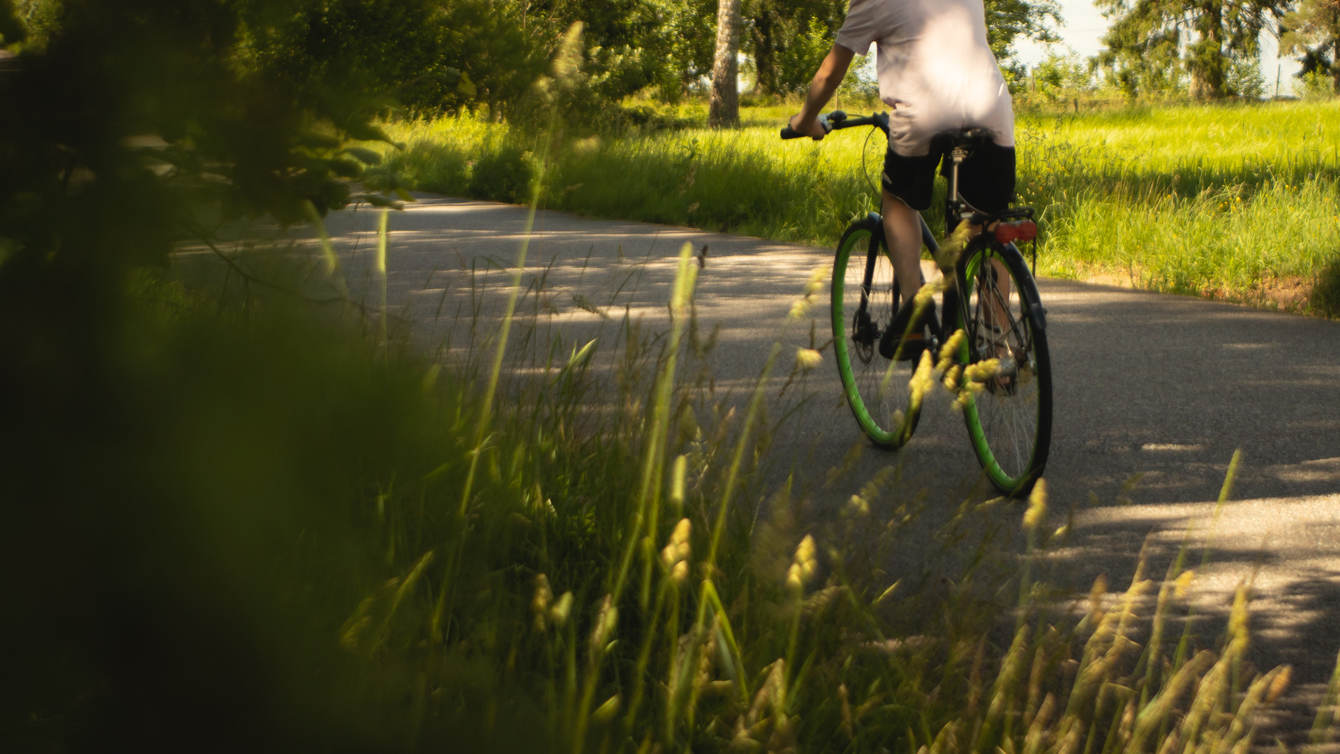 Cyklist cyklar på asfaltsväg