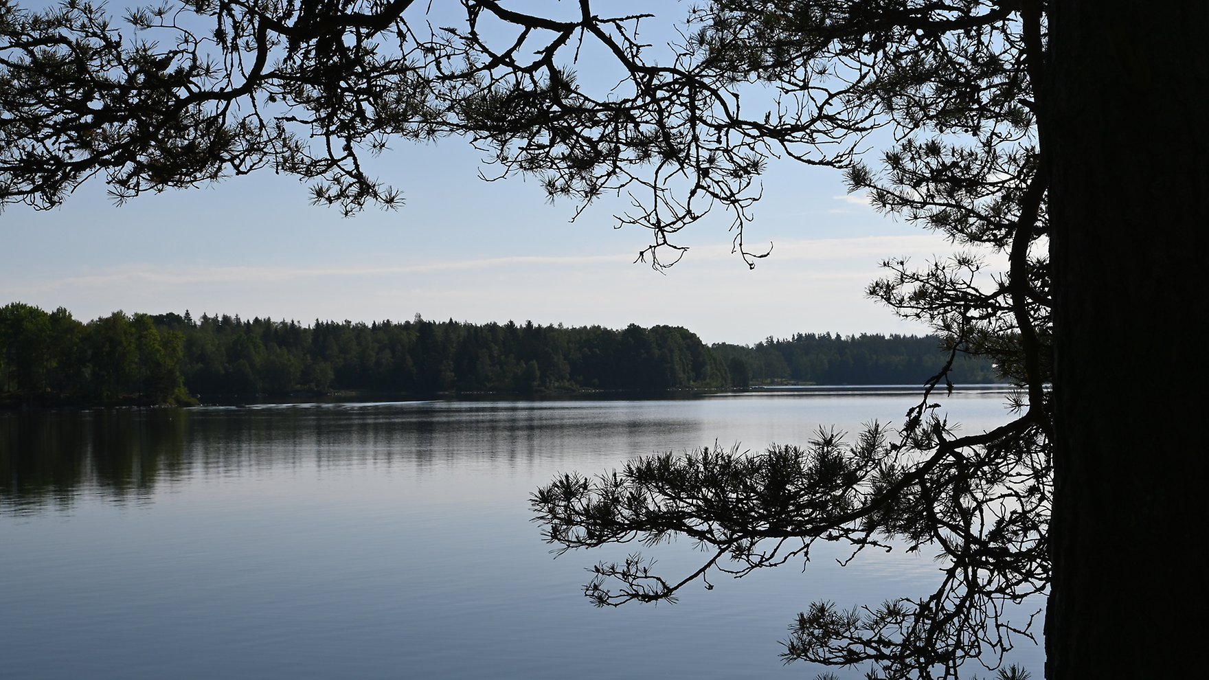 Vattenverksamhet Sävsjö kommun