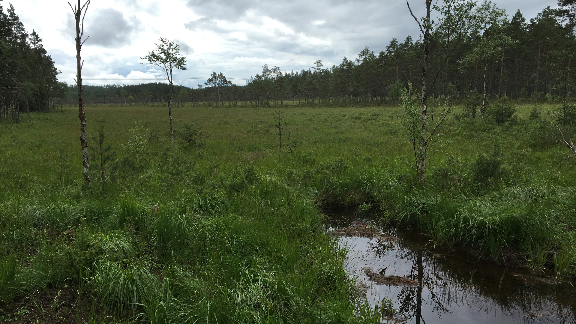 Västermarkens naturreservat